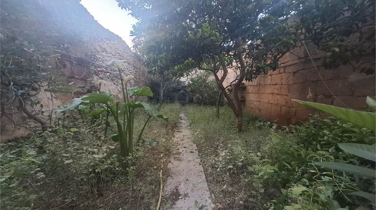 Zurrieq - Townhouse with a Lovely Garden in an Urban Conservation Area